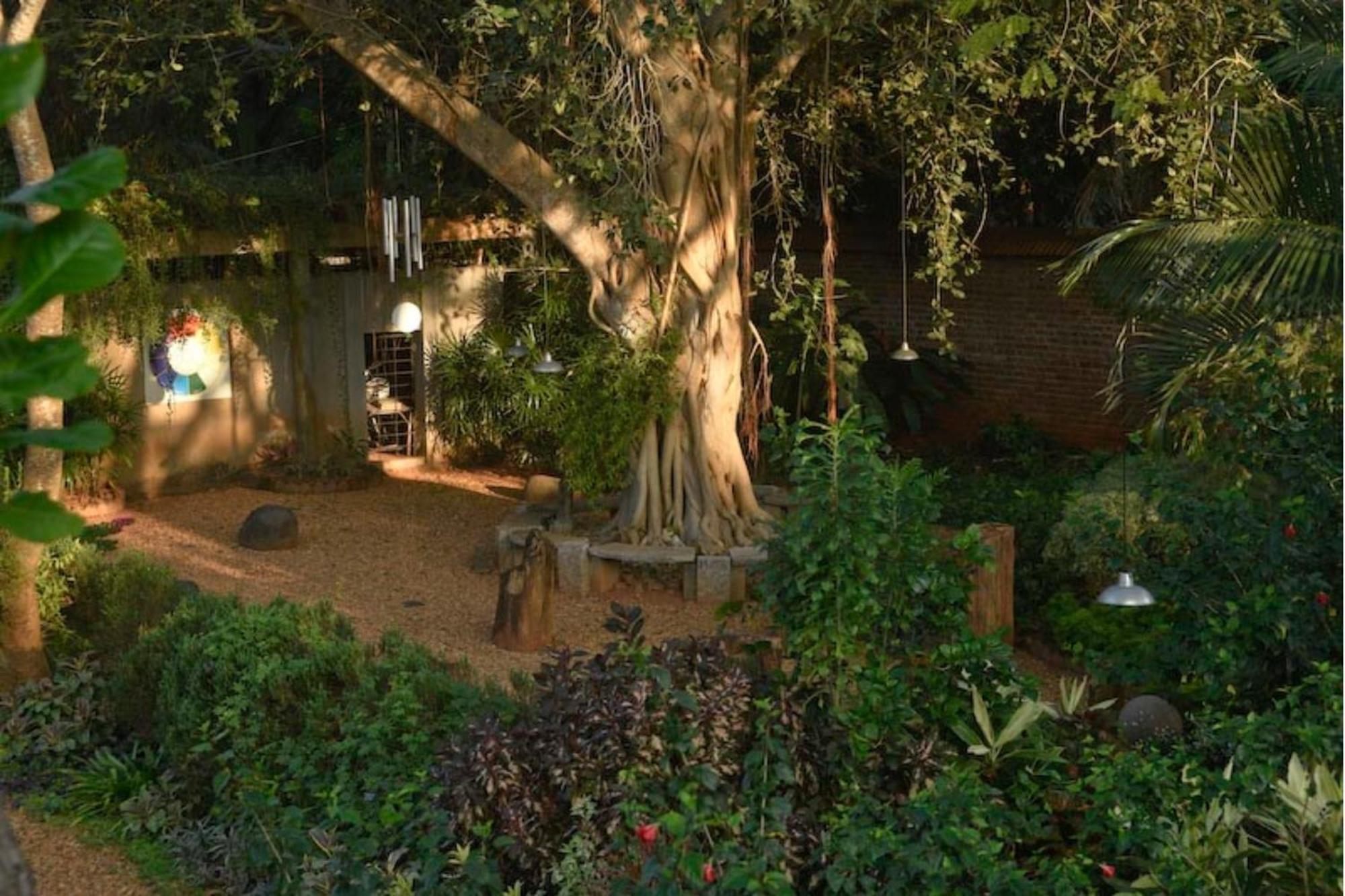 Gaia'S Garden Guest House Ауровил Екстериор снимка